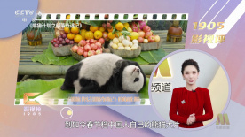 一本久中文ai